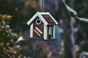 housing market in burlington, vermont